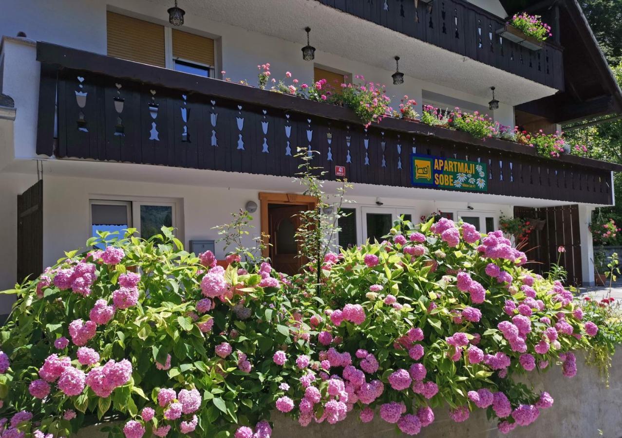 Accommodation Destina, Lake Bohinj Zewnętrze zdjęcie