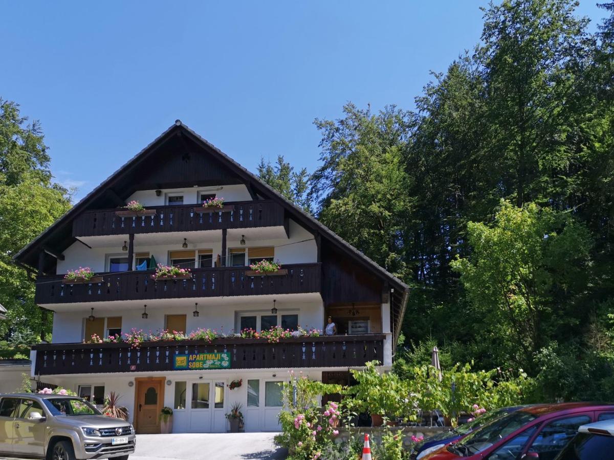 Accommodation Destina, Lake Bohinj Zewnętrze zdjęcie